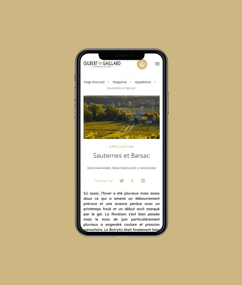 Photo du site Gilbert gaillard responsive